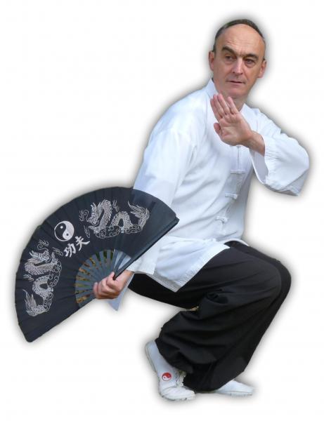 Éventail Arts Martiaux En Acier Inoxydable - Kung Fu, Tai Chi, Autodéfense - Noir, 34/62 Cm